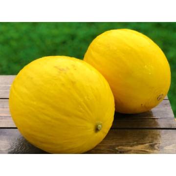Australia Orange Candy Melon (pc)