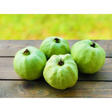 Thailand Guava (850g)