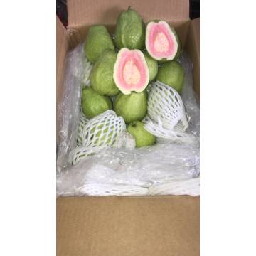 Vietnam Pink Guava (950g to 1kg)