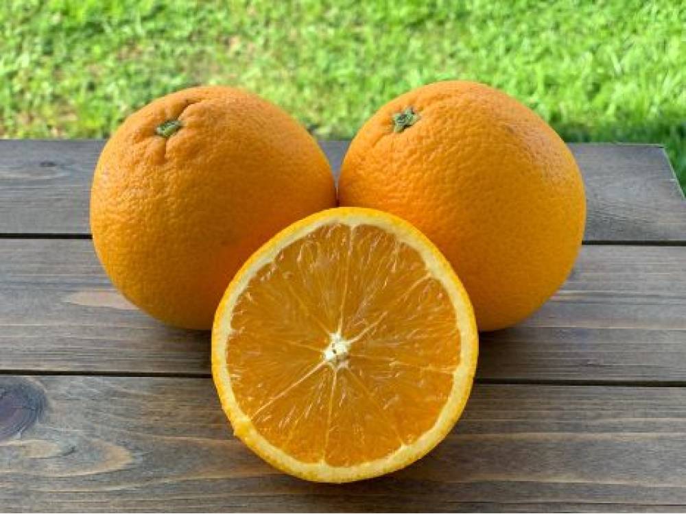 (Sunkist) Australia Barnfield Orange (56 psc) box