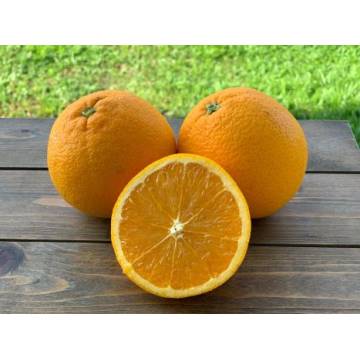 Sunkist Valencia Oranges (5pc)
