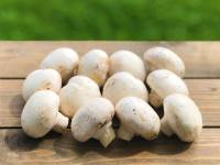 (Daily Fresh) White Mushroom (box)
