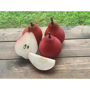 NZ  Piqa Pear (3pc)