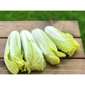 China WaWa Cabbage (300g)  (2 pkt)