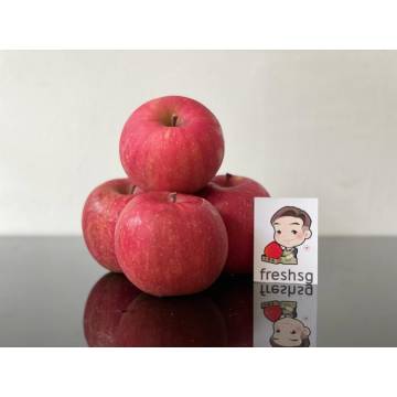 Japan Fuji Apples (7pcs)
