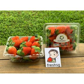 Korea Strawberry (250g)